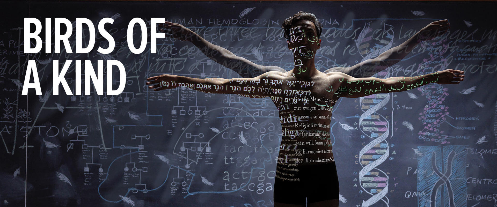 Poster for the Stratford Festival's production of "Birds of a Kind"